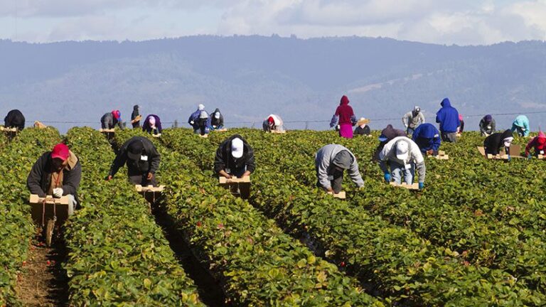 Environmental Scientist Jobs in Canada With Free Visa Sponsorship | Eligibility + Application